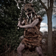 Illustration for article titled This emSkyrim/em Cosplay Will Make You Shout Fus Ro Dah!